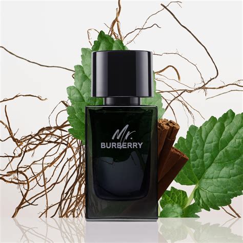 mr burberry eau de parfum uomo persistenza|thomas burberry eau de parfum.